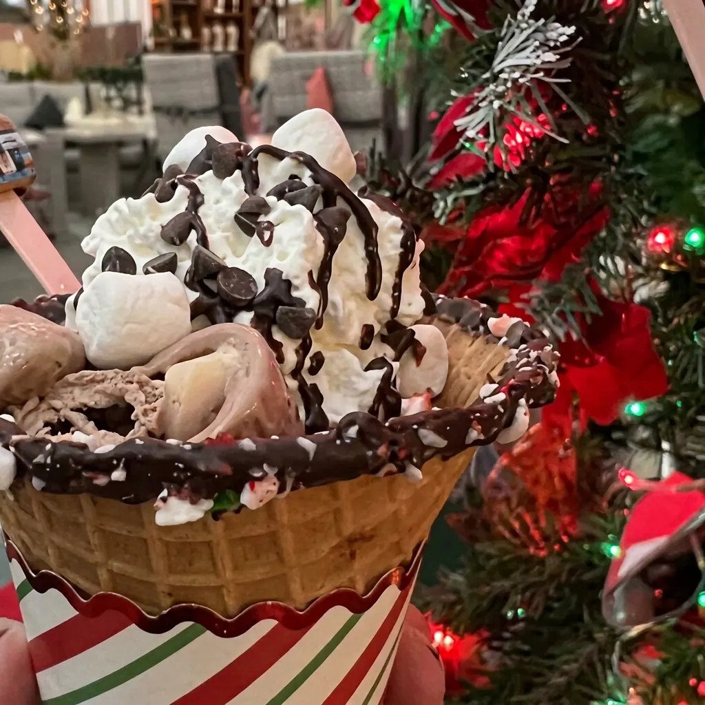 Chocolate Cone Stack — rolled ice cream at Cold Slate Creamery